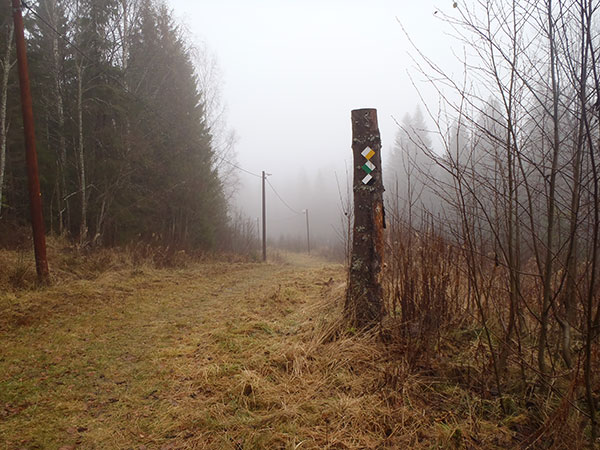 Följ stigen in i dimman.../Follow the track into the fog...