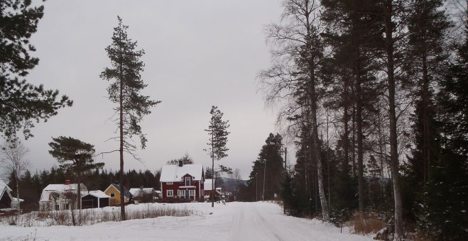 Skogsvägen. Den heter så. /Forest Road. That's its name.