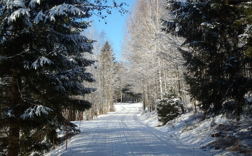 Vinterpromenad/Winter walk