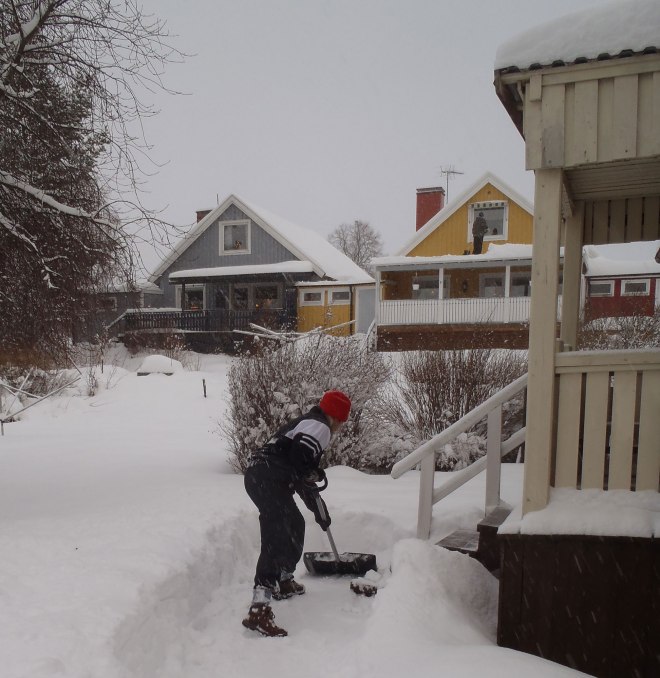 Snöskottning, Ylva./Snow shovelling, Ylva.