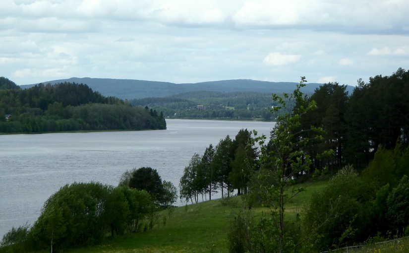 Fotorunda i älvdalen/Photo tour in the river valley