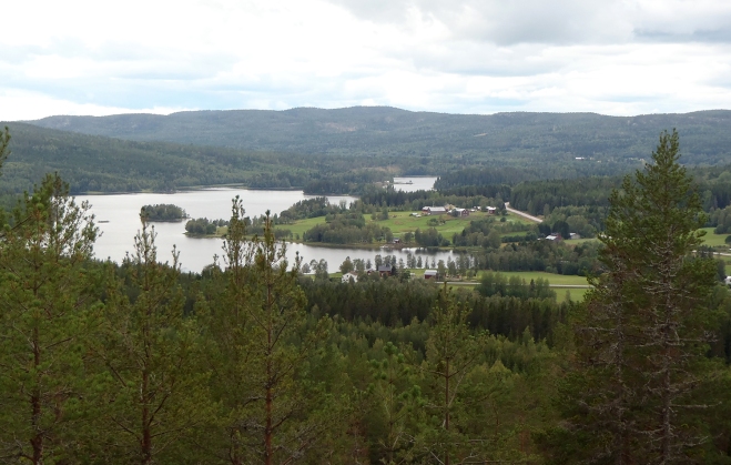 Utsikt från Gårdsberget
