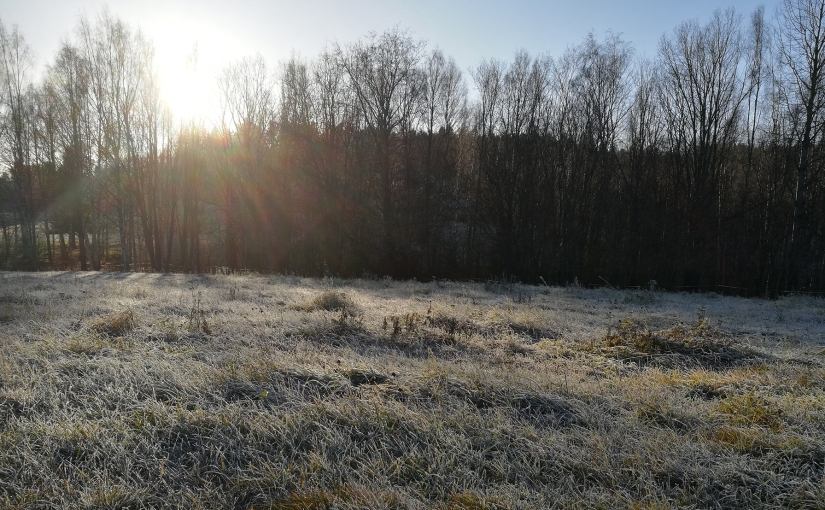 Frostig promenad/Frosty walk