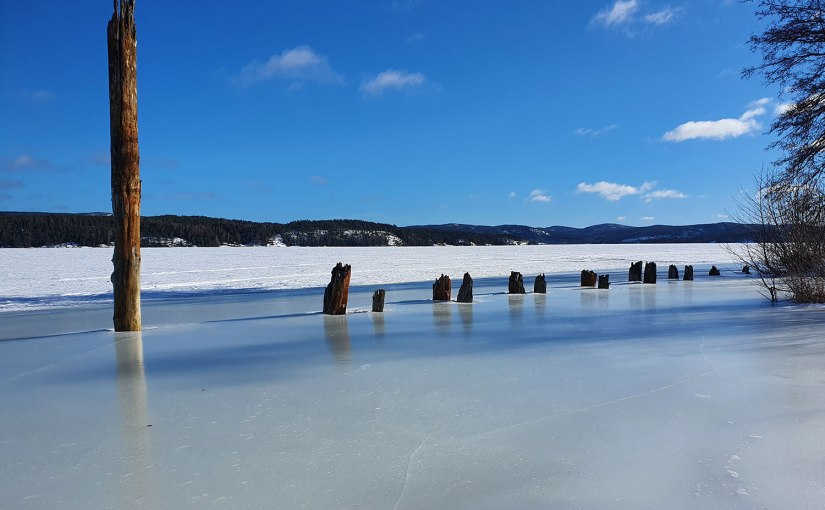Isiga promenader/Icy walks